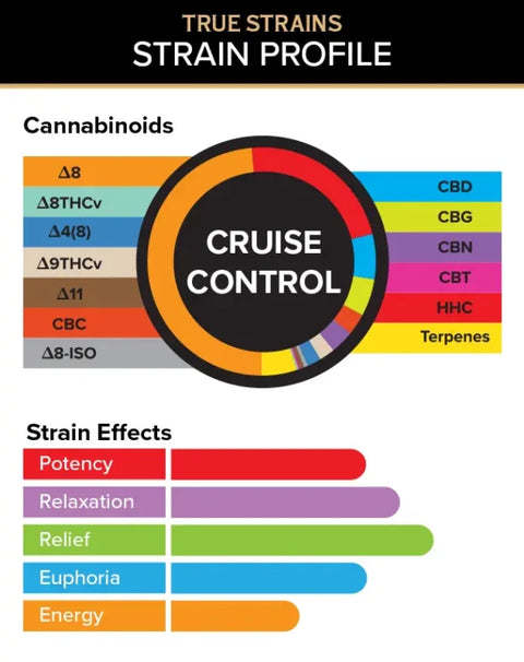 3 ML Disposable - Cruise Control - HYBRID - 3Chi