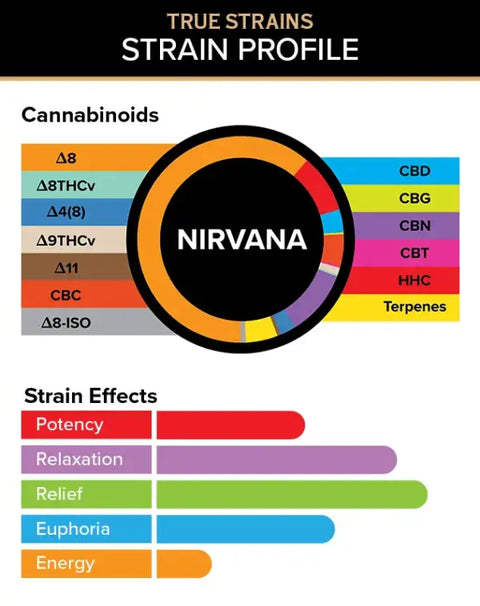 3 ML Disposable - Nirvana - INDICA - 3Chi
