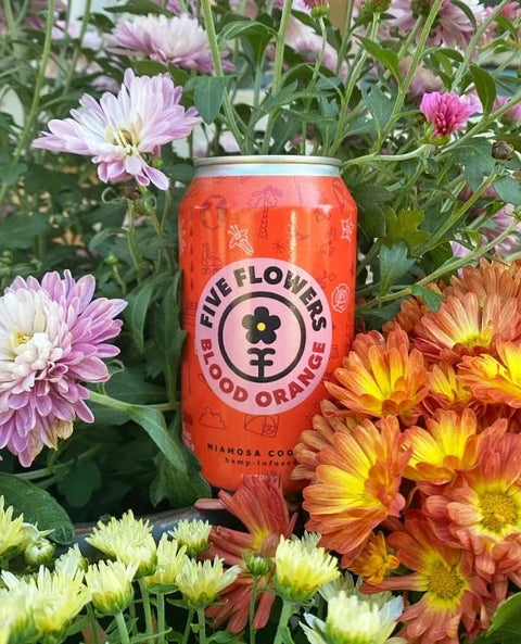 5mg THC & 5mg CBD Cooler - Blood Orange - Five Flowers