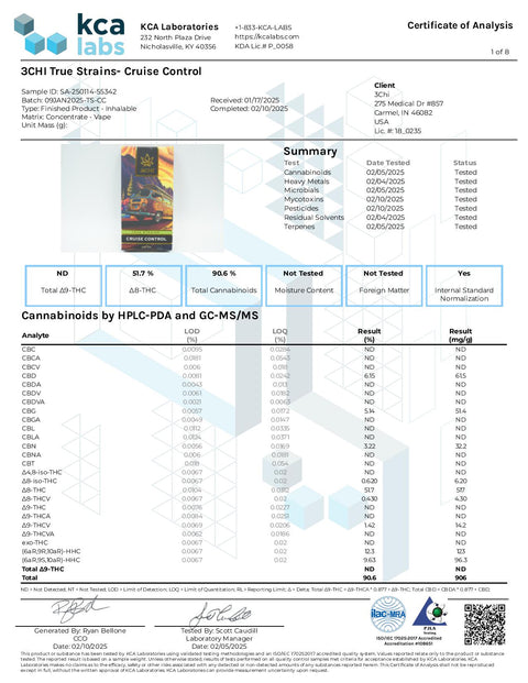 3 ML Disposable - Cruise Control - HYBRID - 3Chi