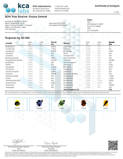 3 ML Disposable - Cruise Control - HYBRID - 3Chi