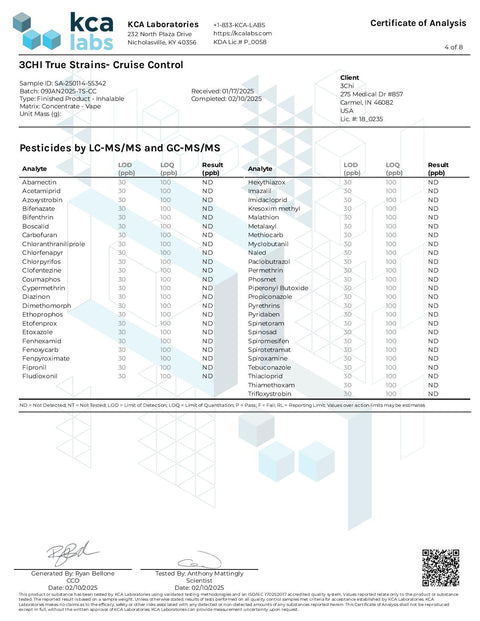 3 ML Disposable - Cruise Control - HYBRID - 3Chi