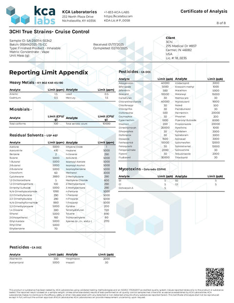 3 ML Disposable - Cruise Control - HYBRID - 3Chi