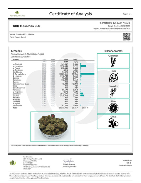 White Truffle - THCA 24% (INDICA) - Bud Hugs