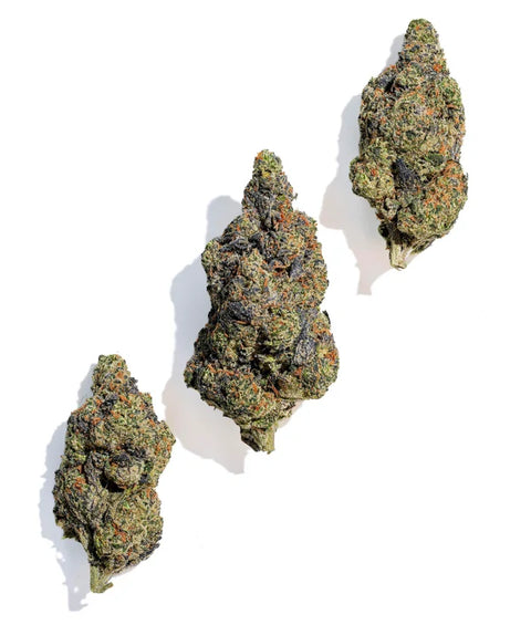 1 Gram ROADKILL SKUNK - THCa Flower – (PREMIUM EXOTIC) INDICA / HYBRID  - Black Tie