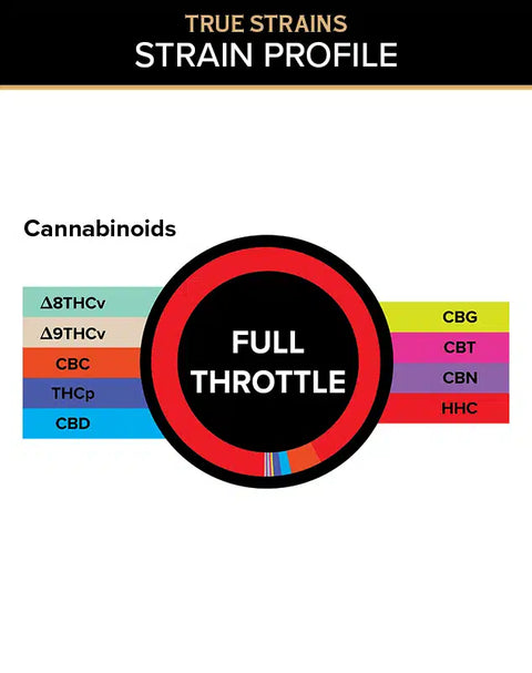 200 mg - Gummies Full Throttle Mini-Pack - SATIVA - THCa - 3Chi
