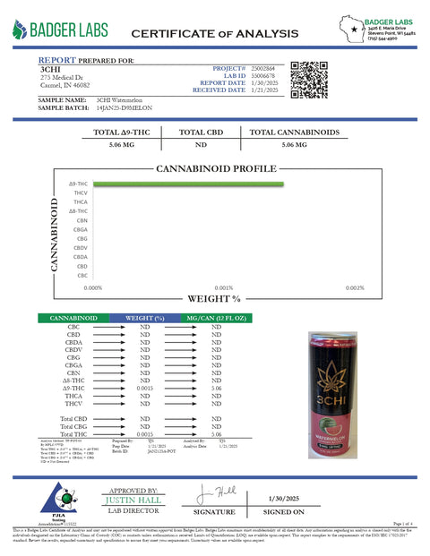 5mg THC Seltzer - Watermelon - 3Chi