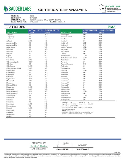 5mg THC Seltzer - Watermelon - 3Chi