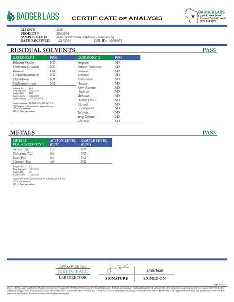 5mg THC Seltzer - Watermelon - 3Chi