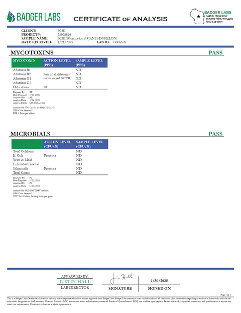 5mg THC Seltzer - Watermelon - 3Chi