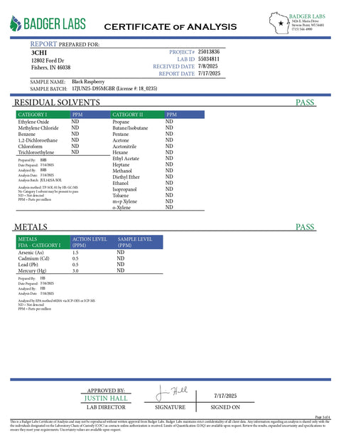 5mg THC Seltzer - Black Raspberry - 3Chi