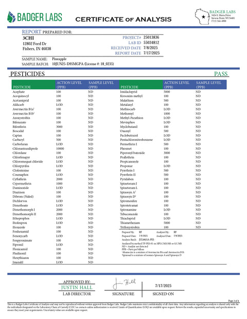 5mg THC Seltzer - Pineapple - 3Chi