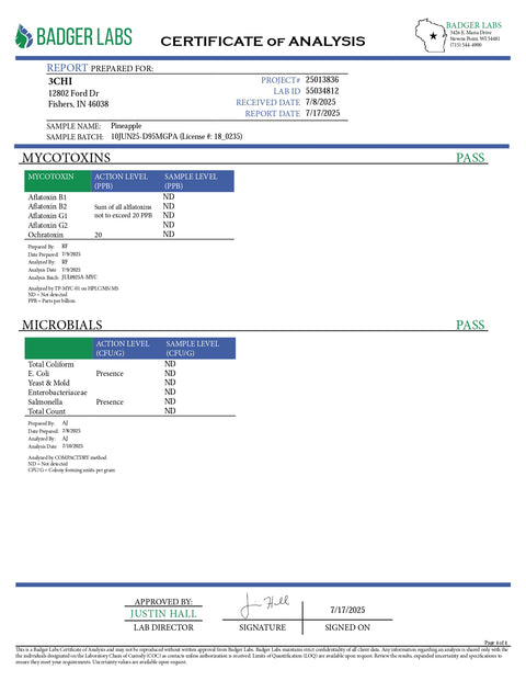5mg THC Seltzer - Pineapple - 3Chi