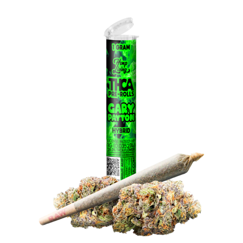 1 Gram Kief-Infused THCa Preroll - Gary Payton 31.5% - HYBRID - Hemp Living