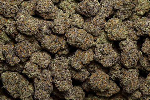 3.5 Gram BLUEBERRY CAVIAR - THCa Flower – (LIGHT DEP) SATIVA - Black Tie