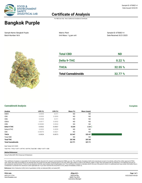1 Gram Bangkok Purple - 32.6% THCa Flower – SATIVA - Hemp Living