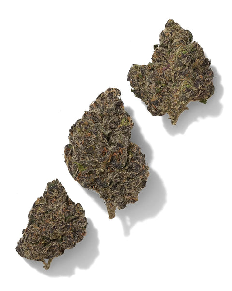 3.5 Grams GALATIC WARHEADZ - THCa Flower – (PREMIUM EXOTIC) BALANCED HYBRID - Black Tie