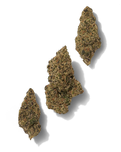 3.5 Grams - BLUE SLUSHIE - THCa Flower – Premium INDICA Hybrid - Black Tie