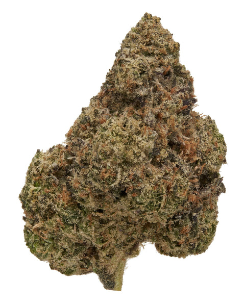 1 Gram BOLO RUNTZ - THCa Flower – (PREMIUM INDOOR) BALANCED HYBRID - Black Tie