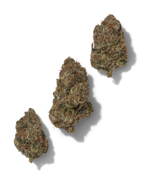 1 Gram LEMON CHERRY GELATO - THCa Flower – (PREMIUM INDOOR) INDICA / HYBRID - Black Tie