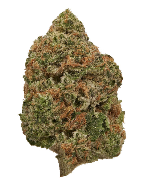 3.5 Grams - Strawberry Cough THCa Flower – Premium SATIVA Hybrid - Black Tie