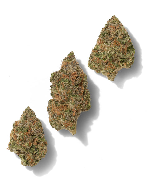 3.5 Grams - Strawberry Cough THCa Flower – Premium SATIVA Hybrid - Black Tie
