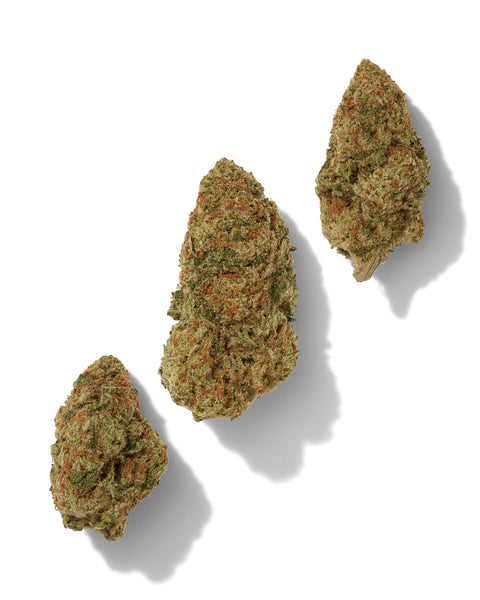 1 Gram - White Guava THCa Flower – Premium Indica Hybrid - Black Tie