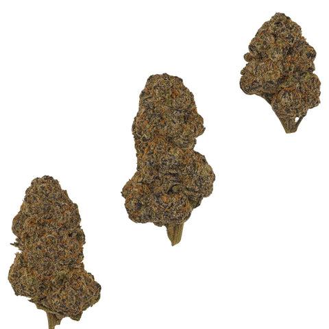 3.5 Gram BLUEBERRY CAVIAR - THCa Flower – (LIGHT DEP) SATIVA - Black Tie