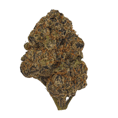 3.5 Gram BLUEBERRY CAVIAR - THCa Flower – (LIGHT DEP) SATIVA - Black Tie