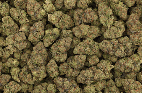 14 Grams COUSIN JIMMY - THCa Flower – (GREENHOUSE) BALANCED HYBRID - Black Tie