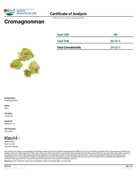 Cromagnonman  - THCA 29% (HYBRID) - Bearly Legal