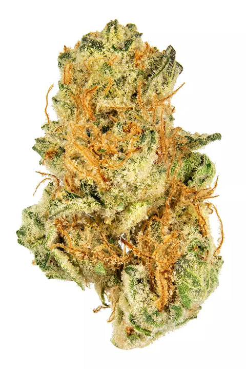 Donny Burger - THCA 28% (INDICA) - Bud Hugs