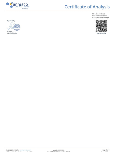 10mg THC & 10mg CBD Cooler - Lemonade - Five Flowers