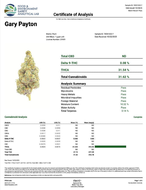 1 Gram Kief-Infused THCa Preroll - Gary Payton 31.5% - HYBRID - Hemp Living
