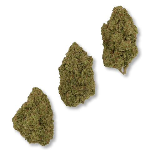 1 Gram GUAVA - THCa Flower – (LIGHT DEP) SATIVA / HYBRID - Black Tie