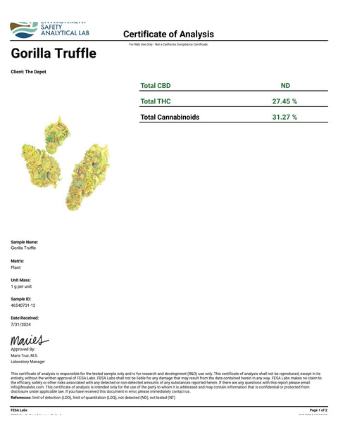 Gorilla Truffle - THCA 31% (INDICA) - Bearly Legal