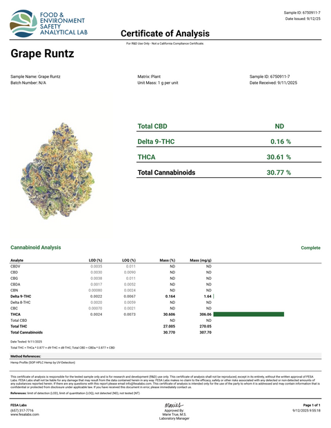 1 Gram Grape Runtz - 30.6% THCa Flower – HYBRID - Hemp Living