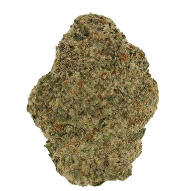 1 Gram ILLEMONATI - THCa Flower – Premium BALANCED Hybrid - Black Tie