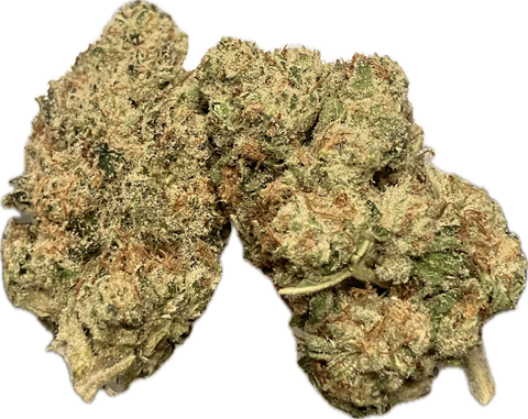 7 Grams - Orange Creamsicle- THCA 27% (Hybrid) - Bud Hugs