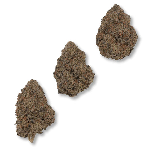 3.5 Grams PURPLE URKLE - THCa Flower – (PREMIUM EXOTIC) BALANCED HYBRID - Black Tie