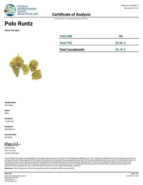 Polo Runtz - THCA 29% (HYBRID) - Bearly Legal