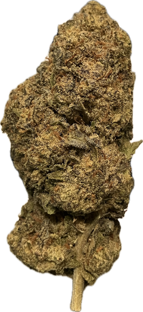 7 Grams - Sherb Scotty - THCA 33% (HYBRID) - Bud Hugs
