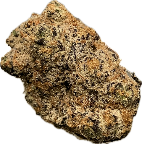 1 Gram - Apricot Scone  - THCA 30% (SATIVA) - Bud Hugs