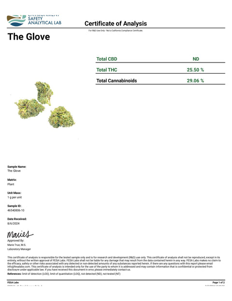 The Glove - THCA 30% (HYBRID) - Bearly Legal