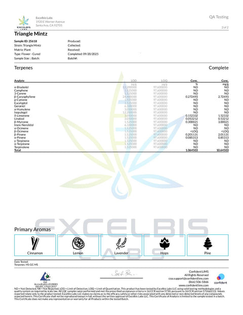 7 Grams -Triangle Mintz - THCA 29% (SATIVA) - Bud Hugs