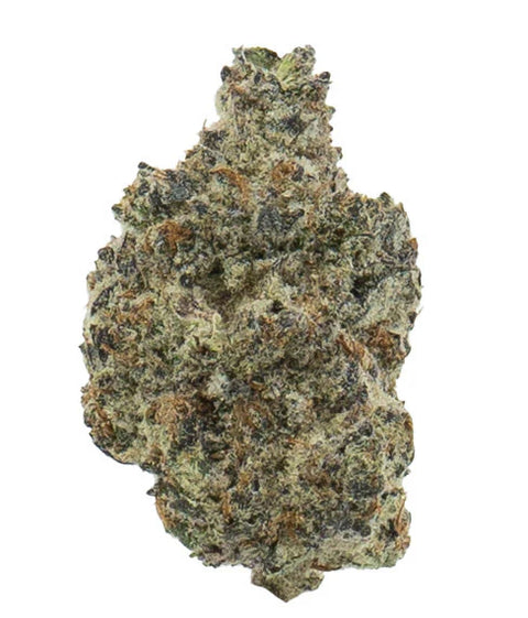 White Truffle - THCA 24% (INDICA) - Bud Hugs