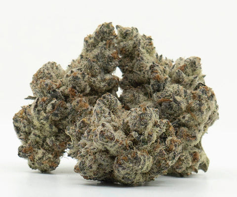 White Truffle - THCA 24% (INDICA) - Bud Hugs