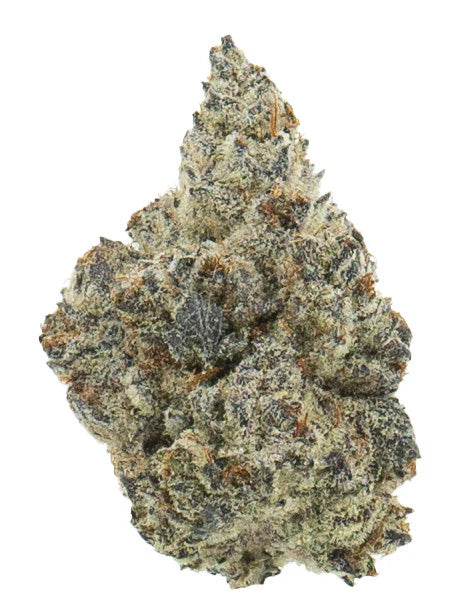 White Truffle - THCA 24% (INDICA) - Bud Hugs