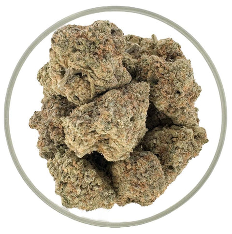 Sherbet - THCA 32% (HYBRID) - Bearly Legal