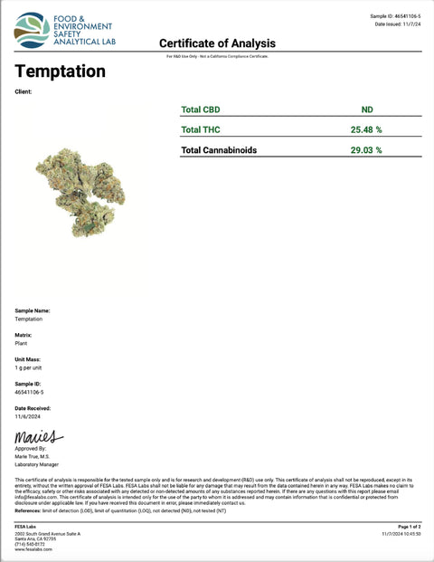 Temptation - THCA 29% (HYBRID) - Bearly Legal